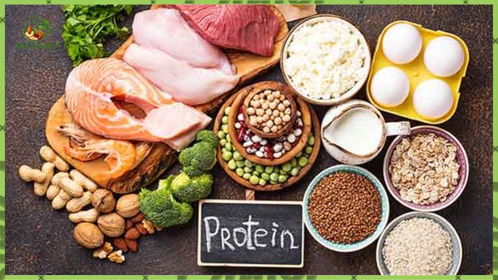 Thực phẩm giàu protein